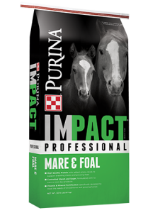 Product_Horse_IMPACT-Pro-Mare-Foal (1)